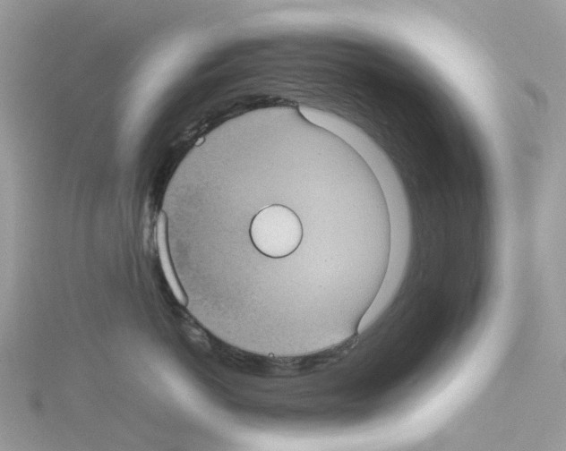 X0000114090766200911161037