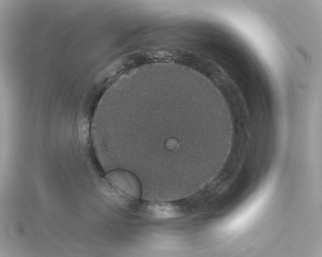 X0000114090767200911161037