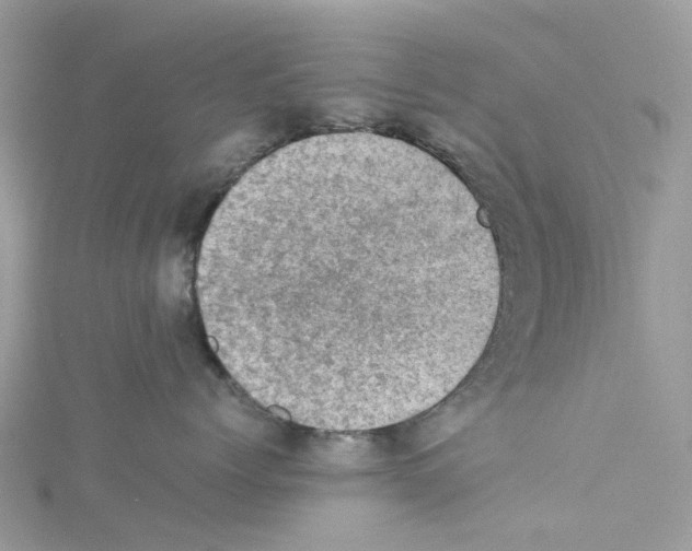 X0000114090768200911161037