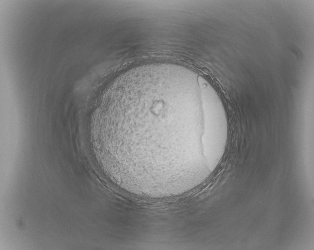 X0000114090769200911161036