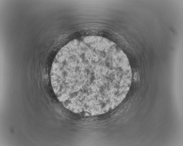 X0000114090771200911161036