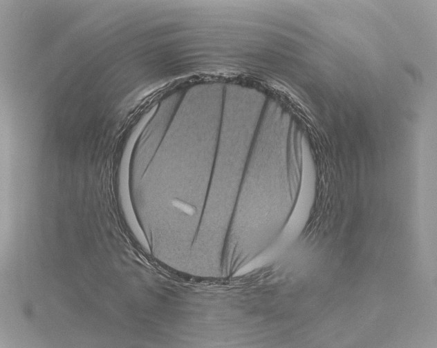 X0000114090773200911161036