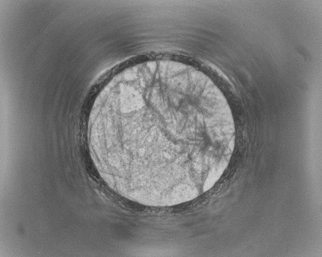 X0000114090775200911161036