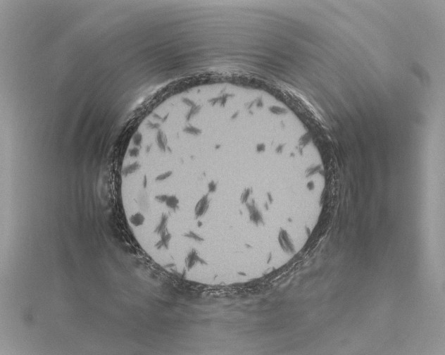 X0000114090776200911161036