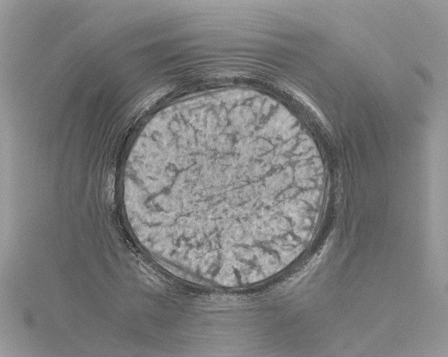 X0000114090777200911161036