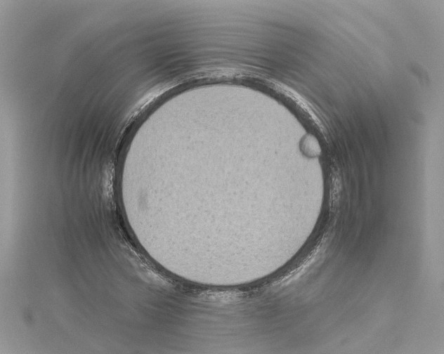 X0000114090778200911161036