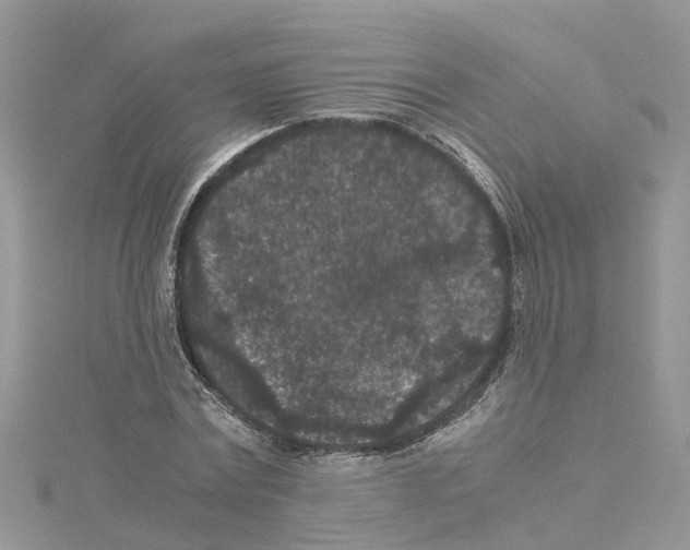 X0000114090779200911161036