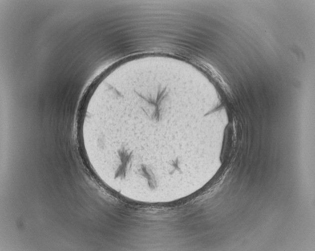 X0000114090780200911161036