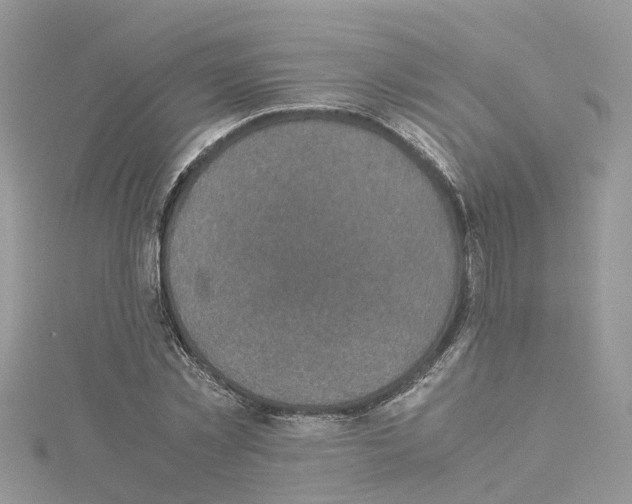 X0000114090781200911161036