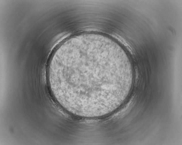 X0000114090782200911161036