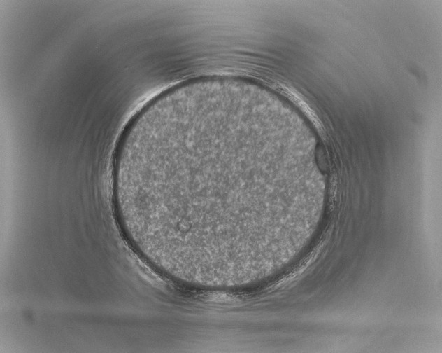 X0000114090787200911161036