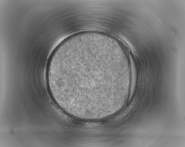 X0000114090788200911161036