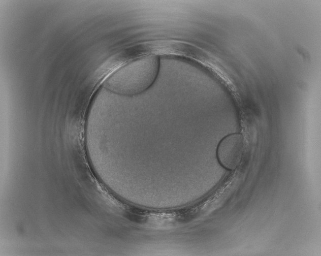 X0000114090793200911161036