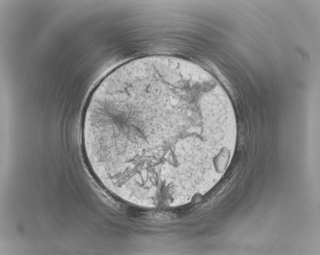 X0000114090795200911161036