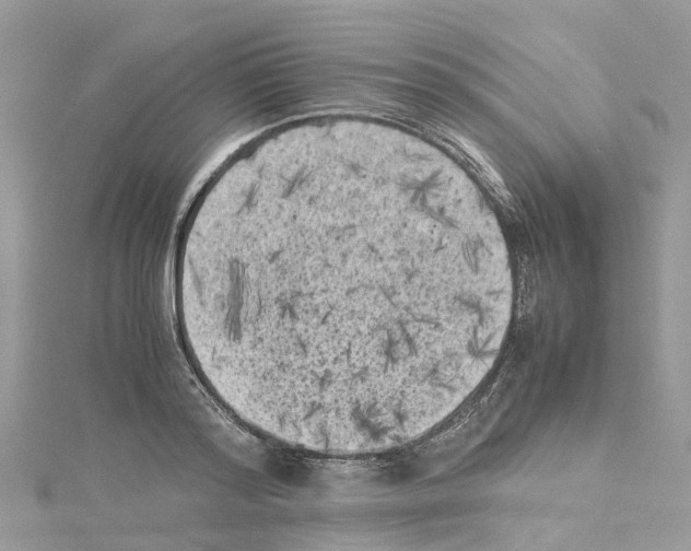 X0000114090796200911161036