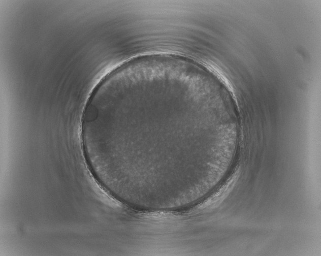 X0000114090797200911161036