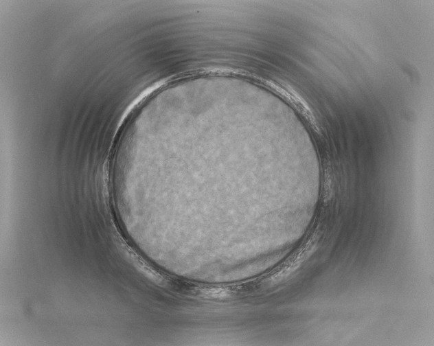 X0000114090798200911161036