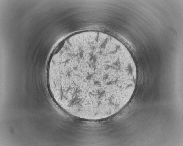 X0000114090800200911161036