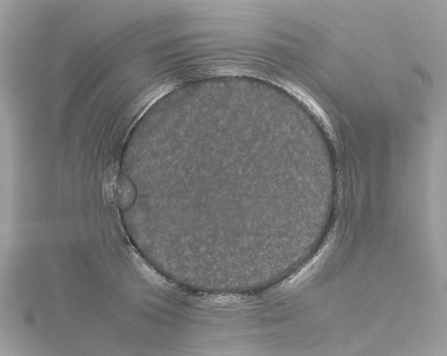 X0000114090801200911161036