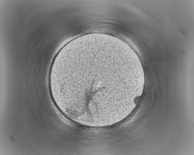 X0000114090803200911161036