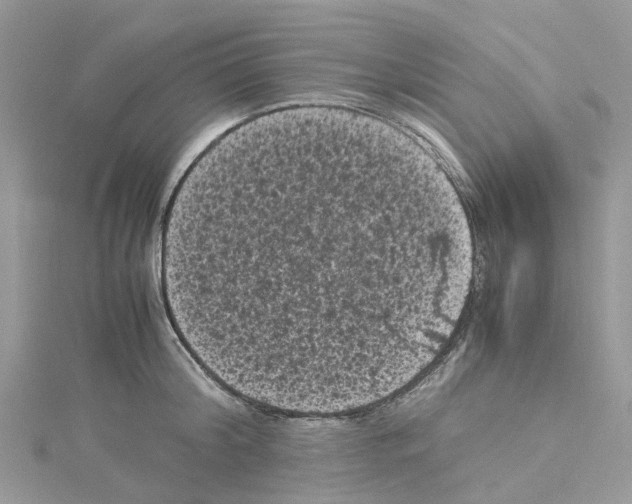 X0000114090804200911161036