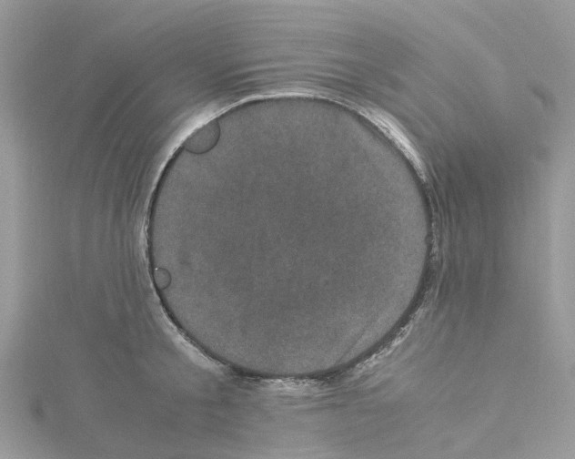 X0000114090805200911161036