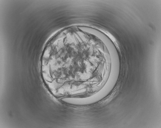 X0000114090807200911161036