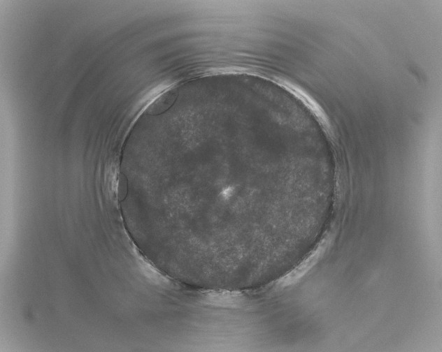 X0000114090809200911161036