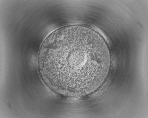 X0000114090810200911161036