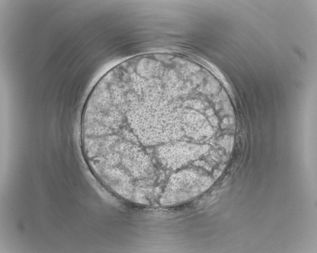 X0000114090811200911161036