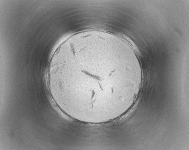 X0000114090812200911161036