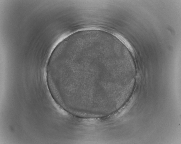 X0000114090813200911161036