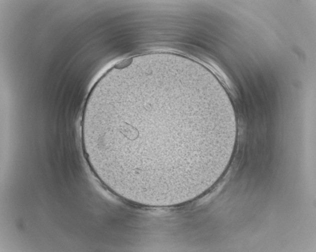 X0000114090814200911161036