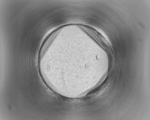 X0000114090815200911161036