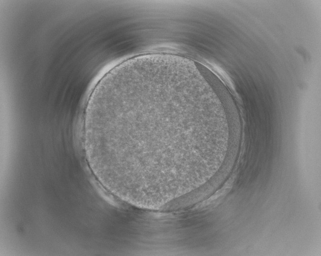 X0000114090816200911161036