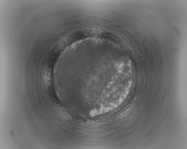 X0000114090818200911161035