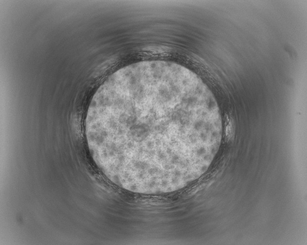 X0000114090819200911161035