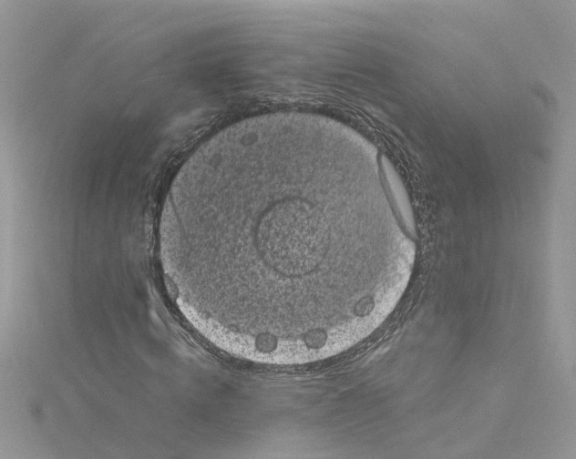 X0000114090820200911161035