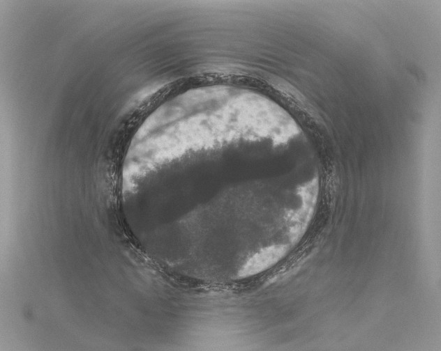 X0000114090822200911161035