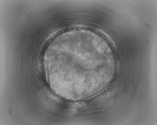 X0000114090823200911161035