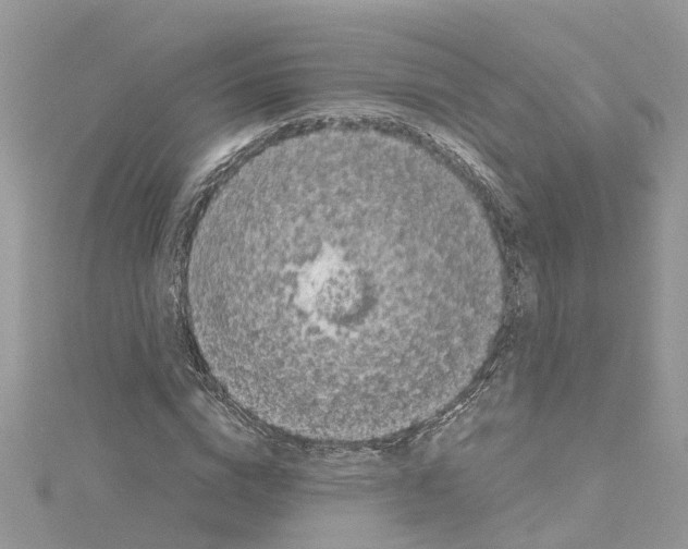 X0000114090824200911161035