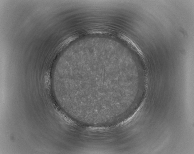 X0000114090825200911161035