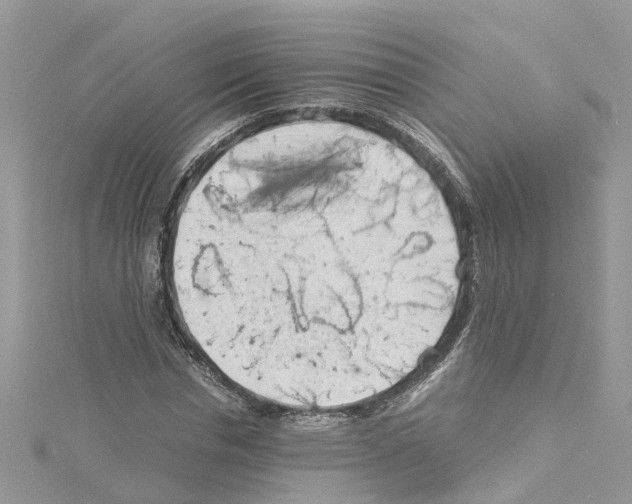 X0000114090826200911161035