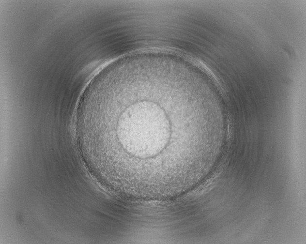 X0000114090828200911161035