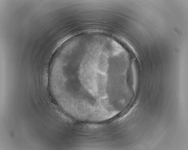 X0000114090829200911161035