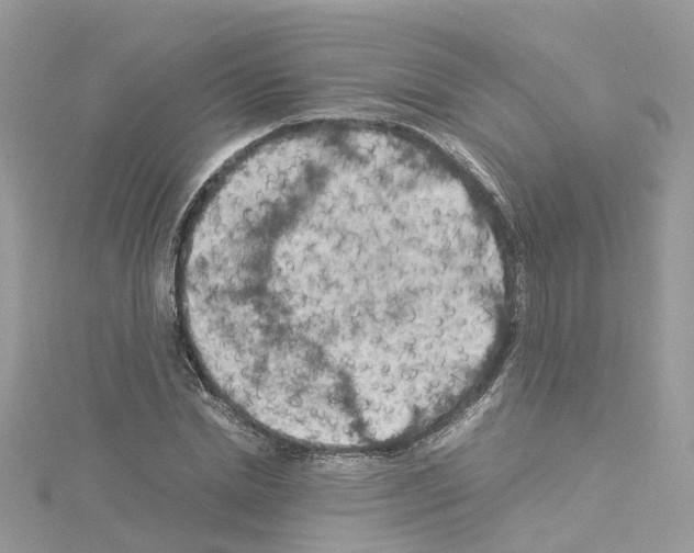 X0000114090830200911161035