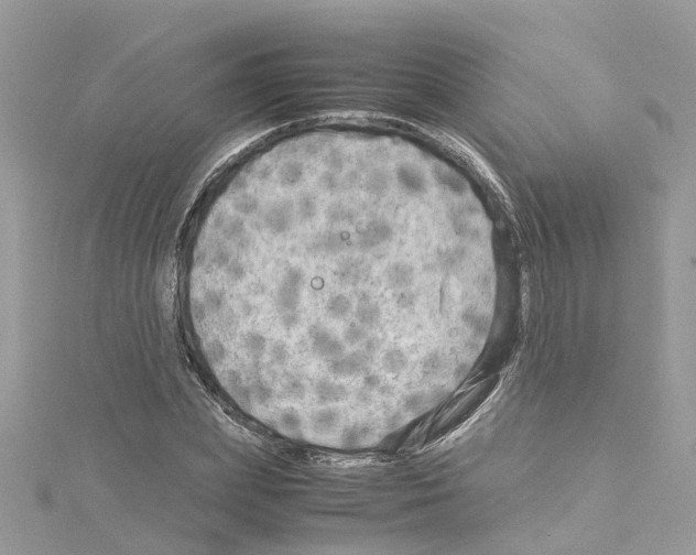 X0000114090831200911161035