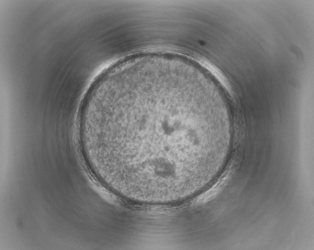 X0000114090832200911161035