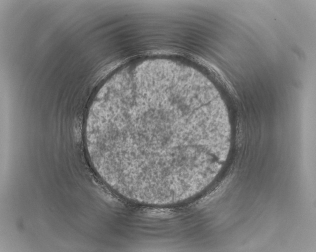 X0000114090833200911161035