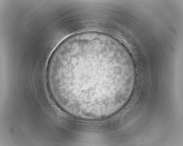 X0000114090836200911161035